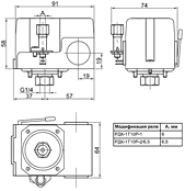 Габаритные размеры: РДК-1Т10Р-1, РДК-1Т10Р-2/6,5